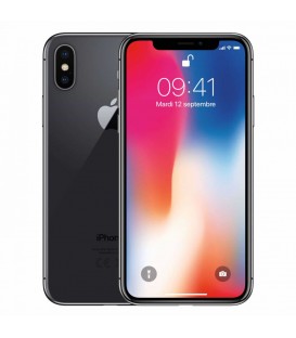 REF-APP5030A - APPLE iPhone X 256 GB Ricondizionato Grado A Gray